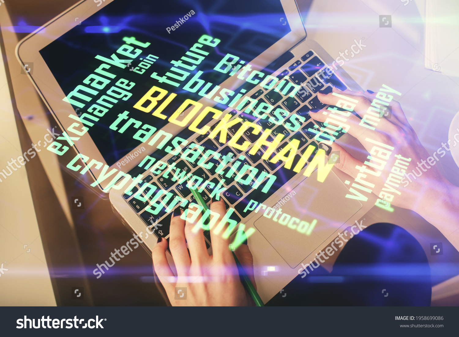 gấ