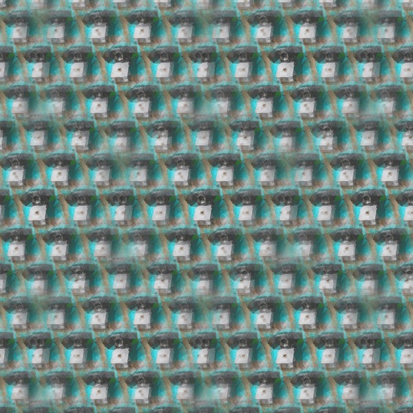 Se