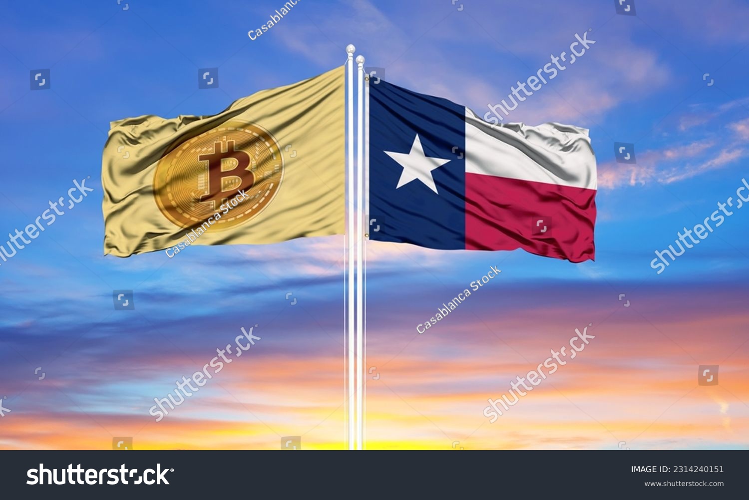 Si