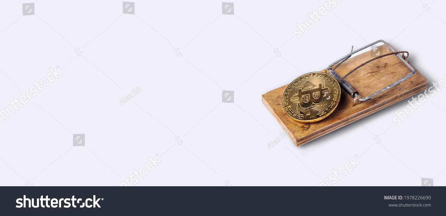 Pi