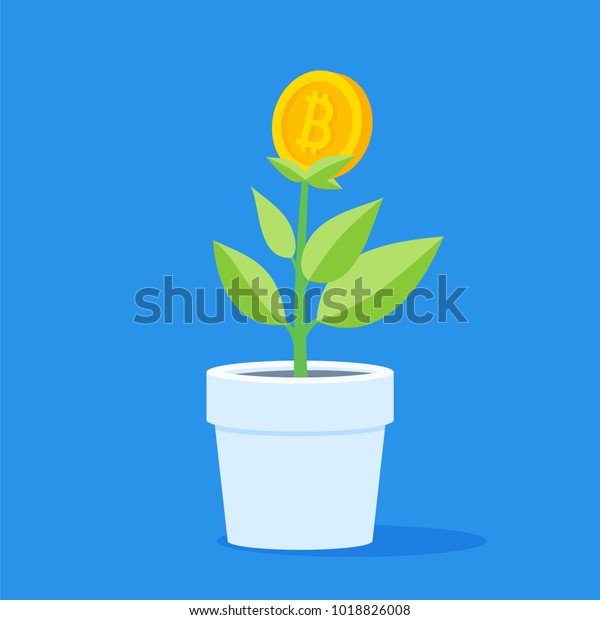 Mắ