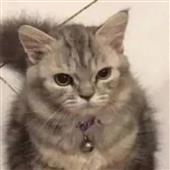 Ng