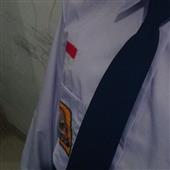 Gi