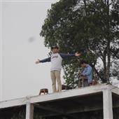 Cờ