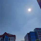 Dự