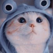 Rồ