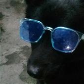 Đê