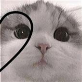 th