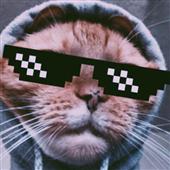 ĐÈ