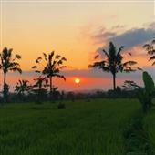 Xứ