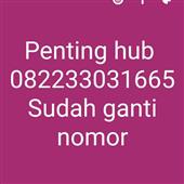 Pl