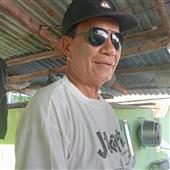 Dự