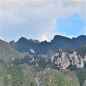 Dự