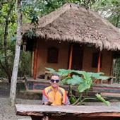 Dự