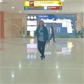 Gi