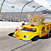 Bù