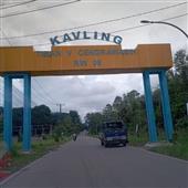 Go