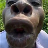 L-