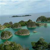 Tỷ