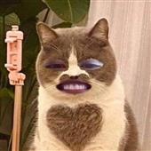 Fa