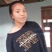 Gi