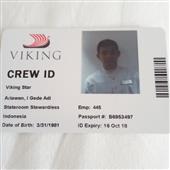 Vi