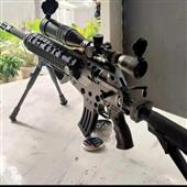 Gi