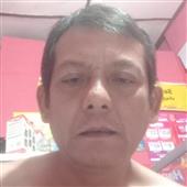 Cá
