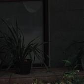 Xế