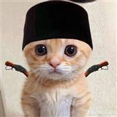 Kỳ