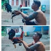 Đu