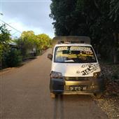 Cá