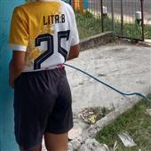Cá