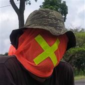 Ho