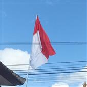 Pl
