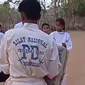 Gi