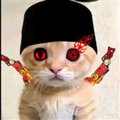 Vỡ