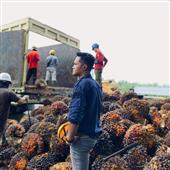 Kẹ