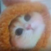 Ch