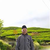 Vị