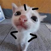tr