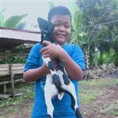 Hầ
