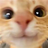 Ứn