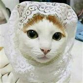 Lậ