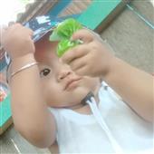 Xế
