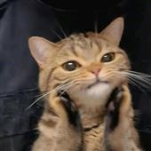 Tâ