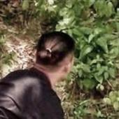Cỏ