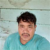 Gà