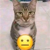 Đá