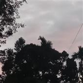 Sl